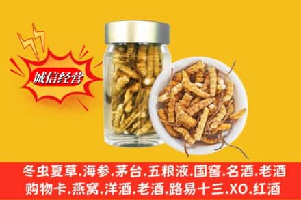 重庆北碚区回收散虫草
