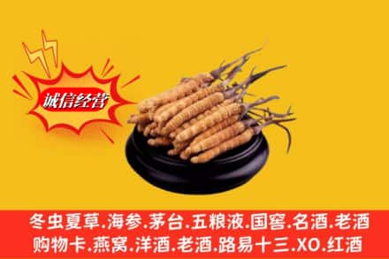 重庆北碚区名酒回收冬虫夏草.jpg